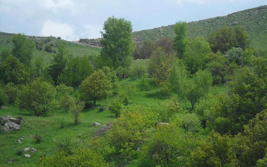 روستای انار اردبیل