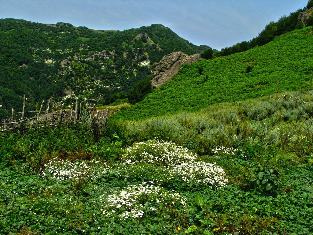 روستای کوته کومه 