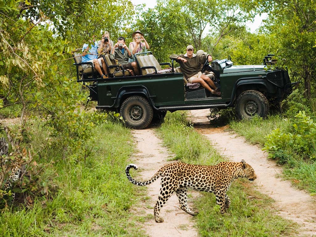 آفریقای جنوبی؛ مقصد تکرار نشدنی