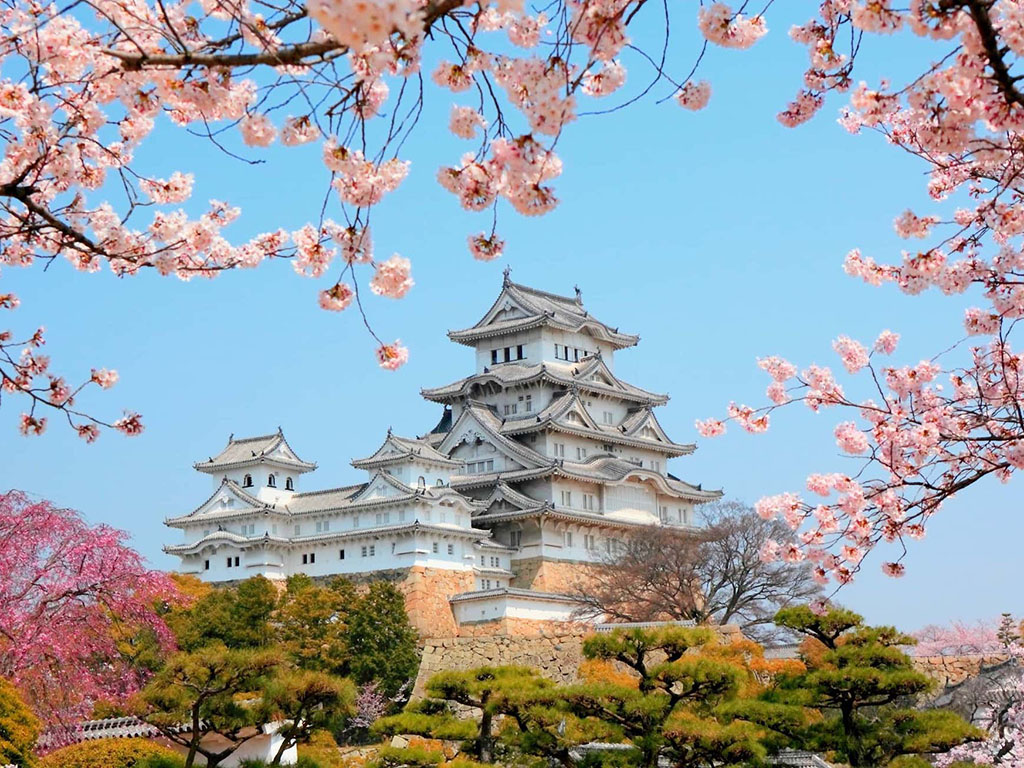 متفاوت ترین سفر؛ ژاپن