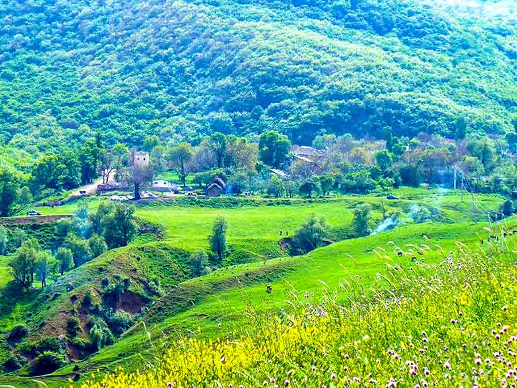 اقامت در روستای افجه