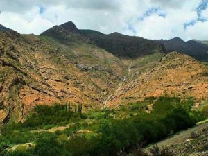 روستای افجه