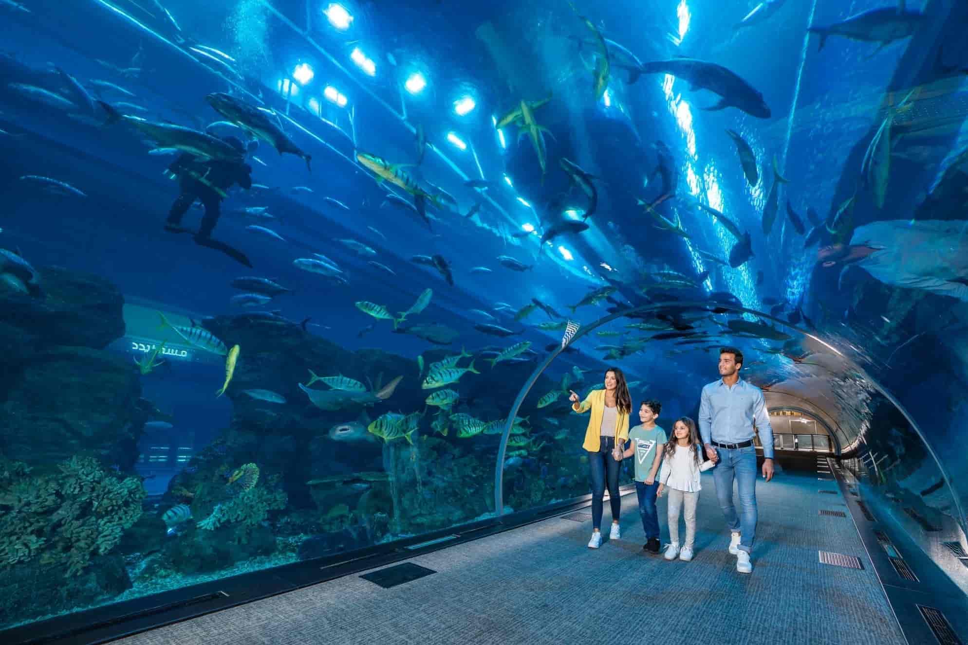 آکواریوم دبی و باغ‌وحش زیر آب (Dubai Aquarium & Underwater Zoo)