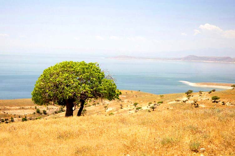 جزایر دریاچه ارومیه(2)