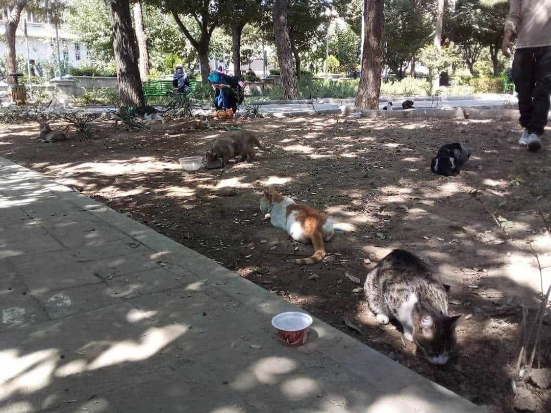 بازارچه صنایع دستی لاله