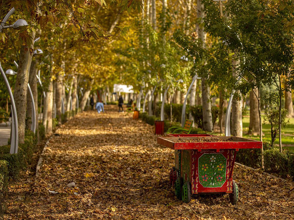 درختان پارک لاله