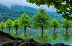 دریاچه الندان؛ نگین فیروزه‌ای مازندران که باید ببینید!