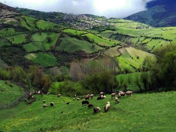 روستای الندان و گل گاوزبان