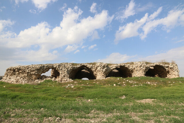 حفاری شهر بزرگ ساسانی