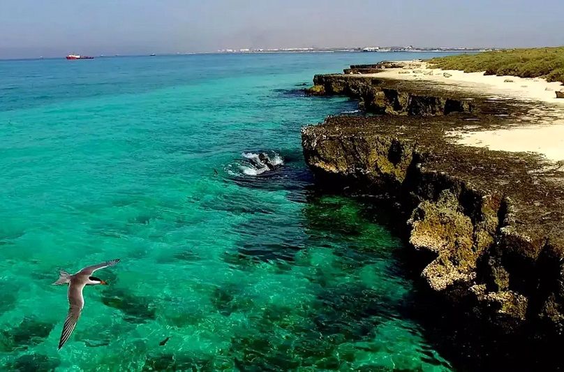 چه زمانی به جزیره مارو برویم؟