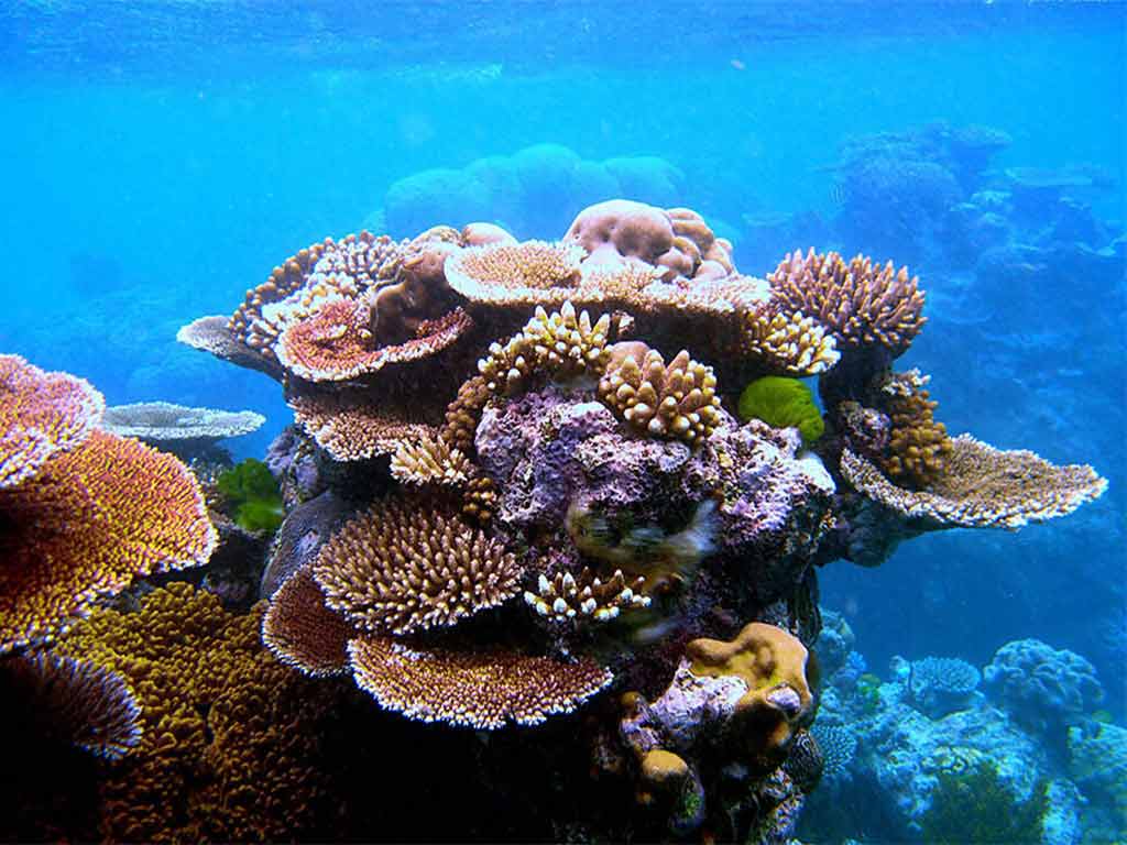 مکان‌های دیدنی اطراف مارو